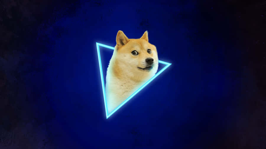 The Time has Come for Dogecoin Can Show its True Potential | Analytics  Insight