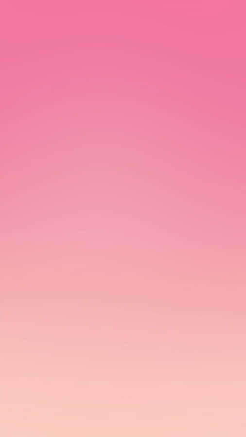Bold And Beautiful Pink Wallpaper
