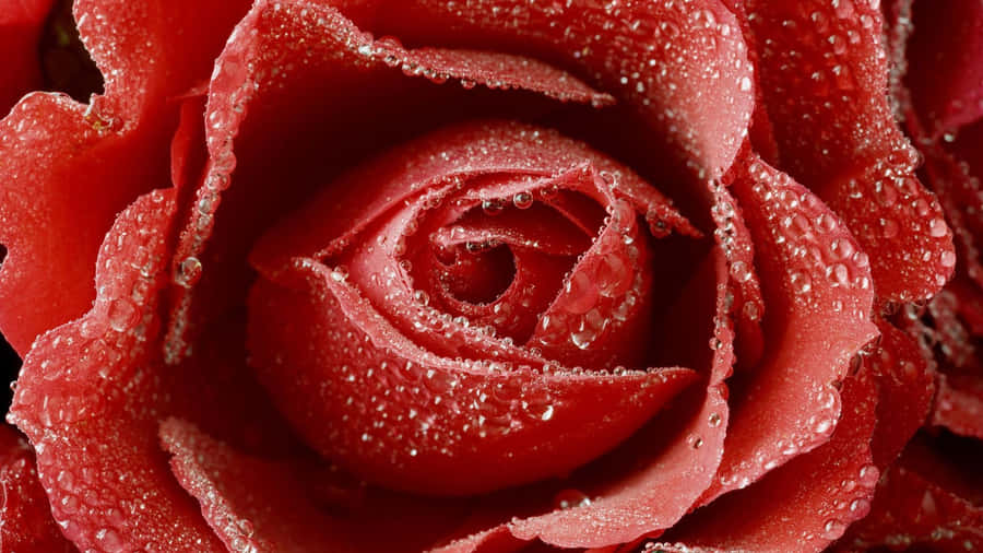 Bold Red Textured Wallpaper Wallpaper