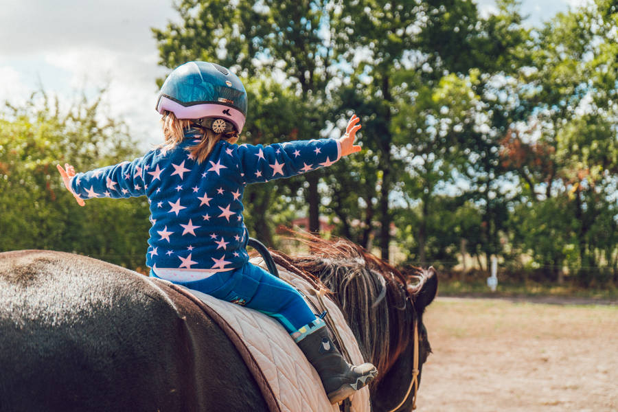 🔥 [32+] Vintage Equestrian Wallpaper | WallpaperSafari