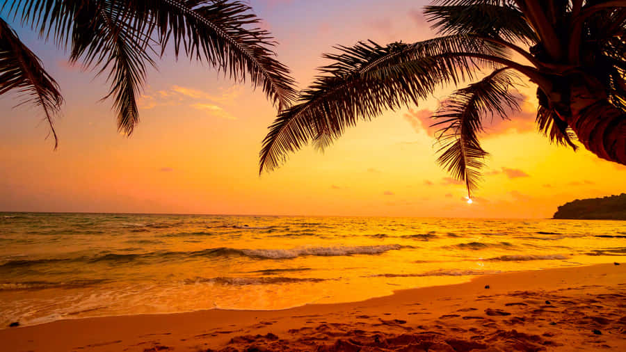 Breath In The Fresh Ocean Air And Take In The Beauty Of The Beach Sky Wallpaper