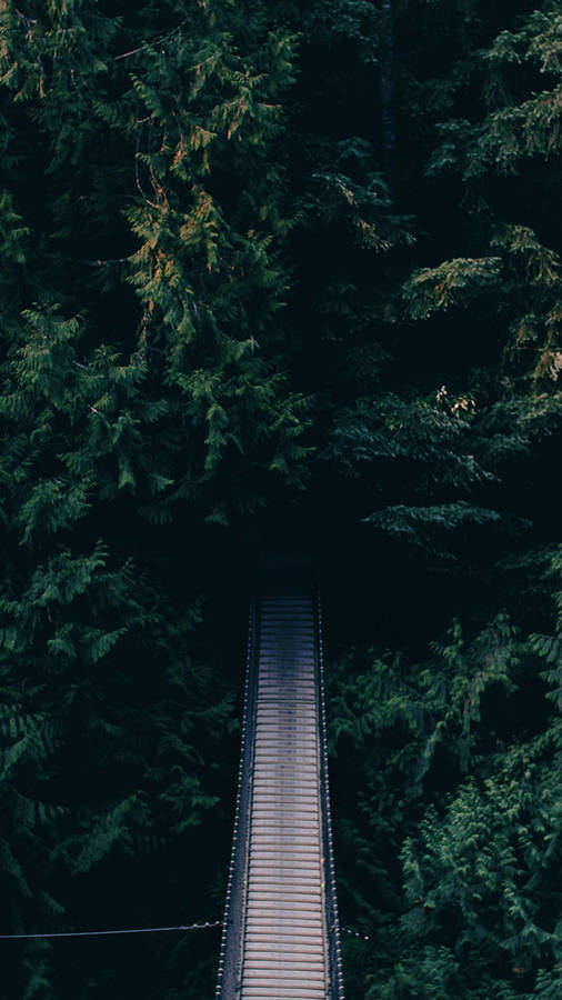 Bridge And Trees Android wallpaper