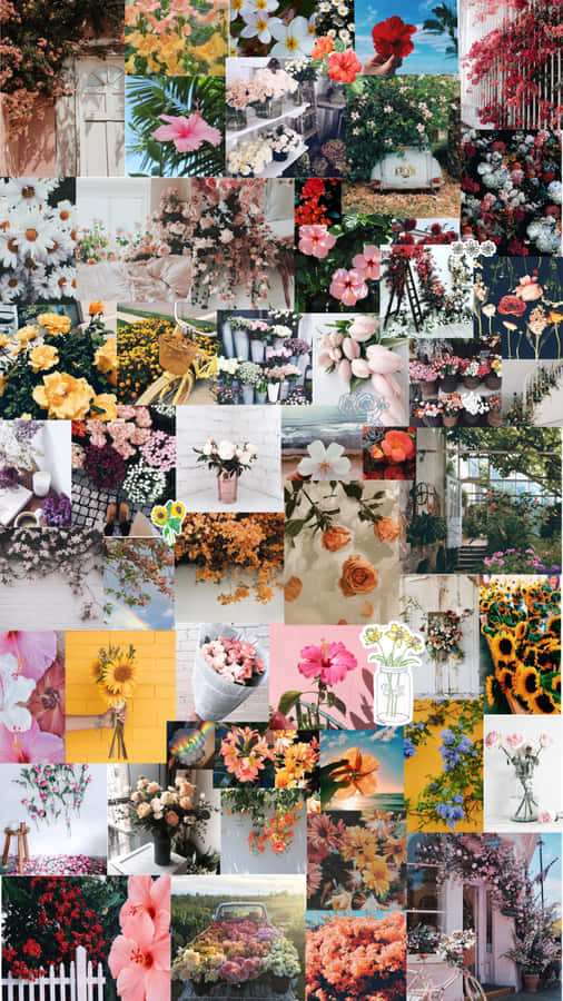 Bring Floral Charm And Character To Your Smartphone With A Vibrant, Floral Aesthetic Wallpaper