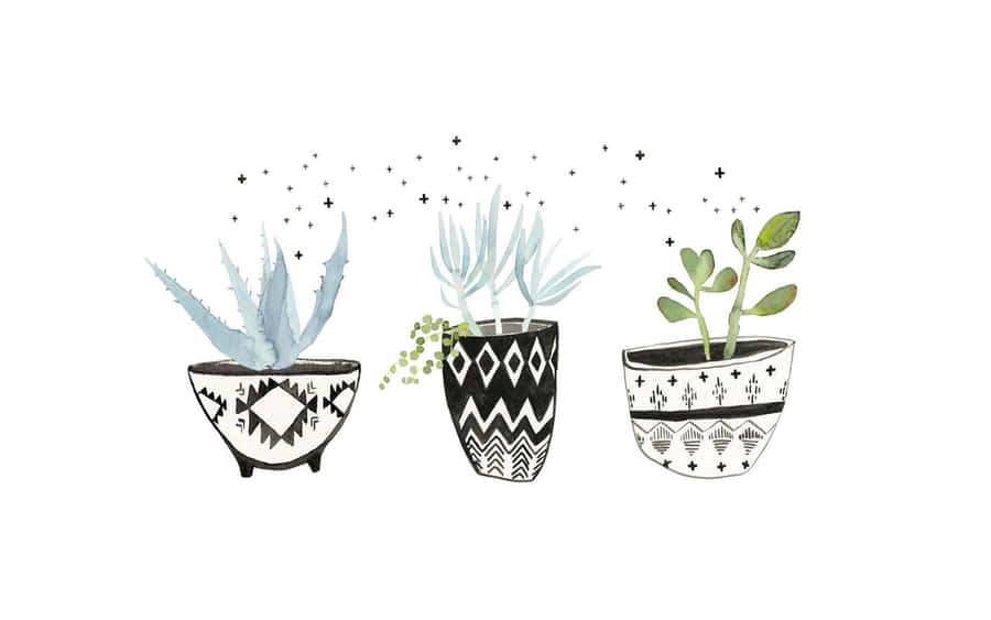 Bring The Beauty Of Nature To Your Workspace With A Plant Aesthetic Laptop. Wallpaper