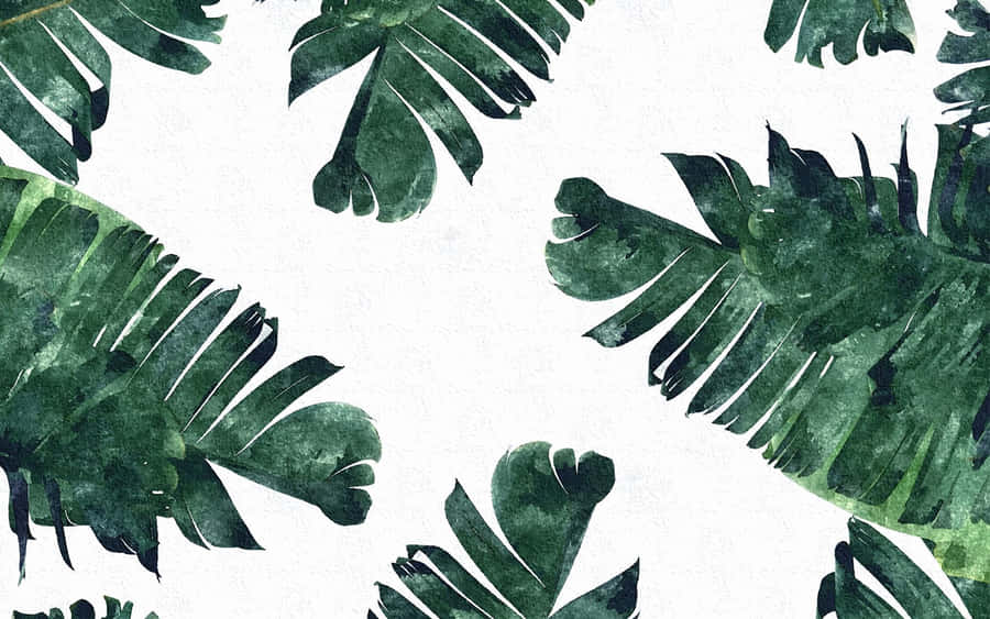 Caption: Embrace Nature's Simplicity Wallpaper