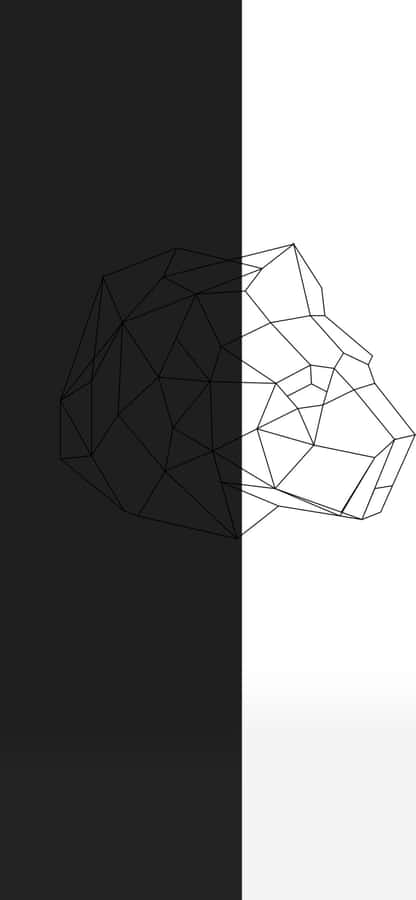 Caption: Half Black Half White Abstract Design Wallpaper