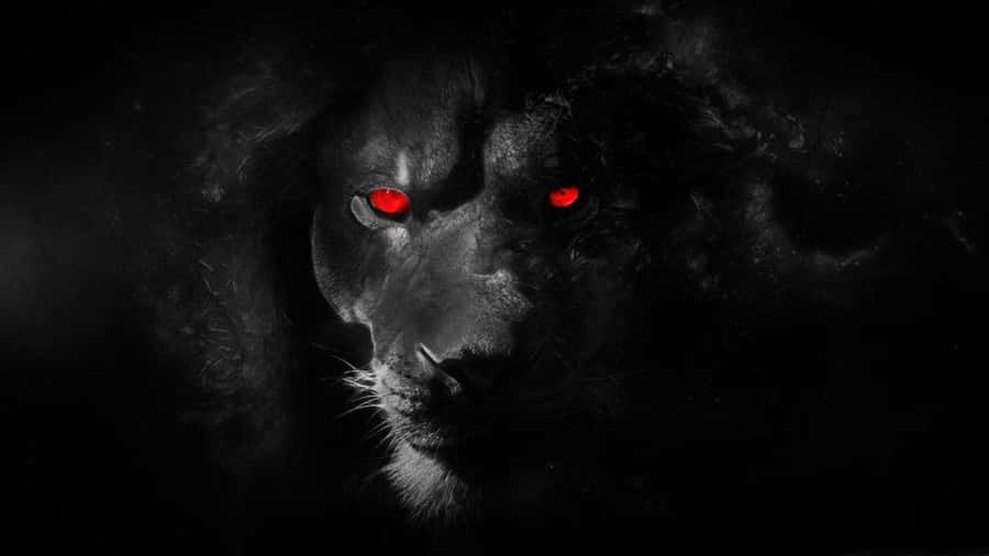 Caption: Majestic Black Lion Against A Dark Background Wallpaper