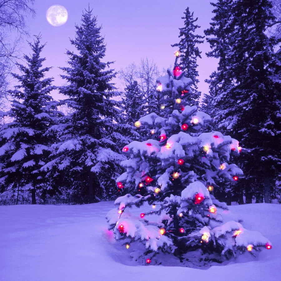 Celebrate The Holidays With A Simple Christmas Ipad Wallpaper