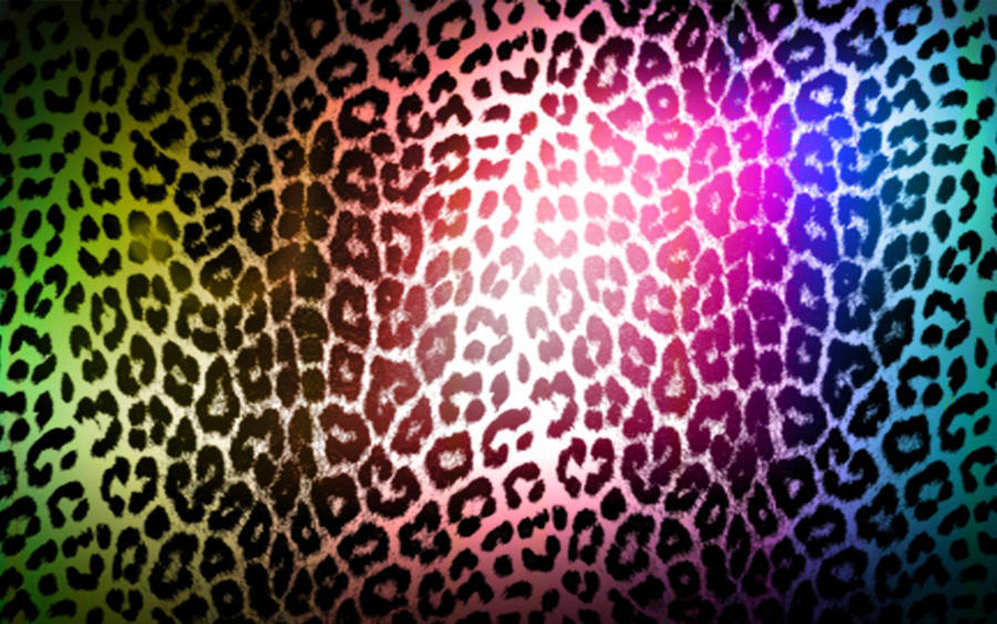 Rainbow cheetah  Leopard print background, Animal print background, Cheetah  print background