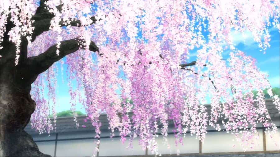 Cherry Blossom Bliss Anime Scene.jpg Wallpaper