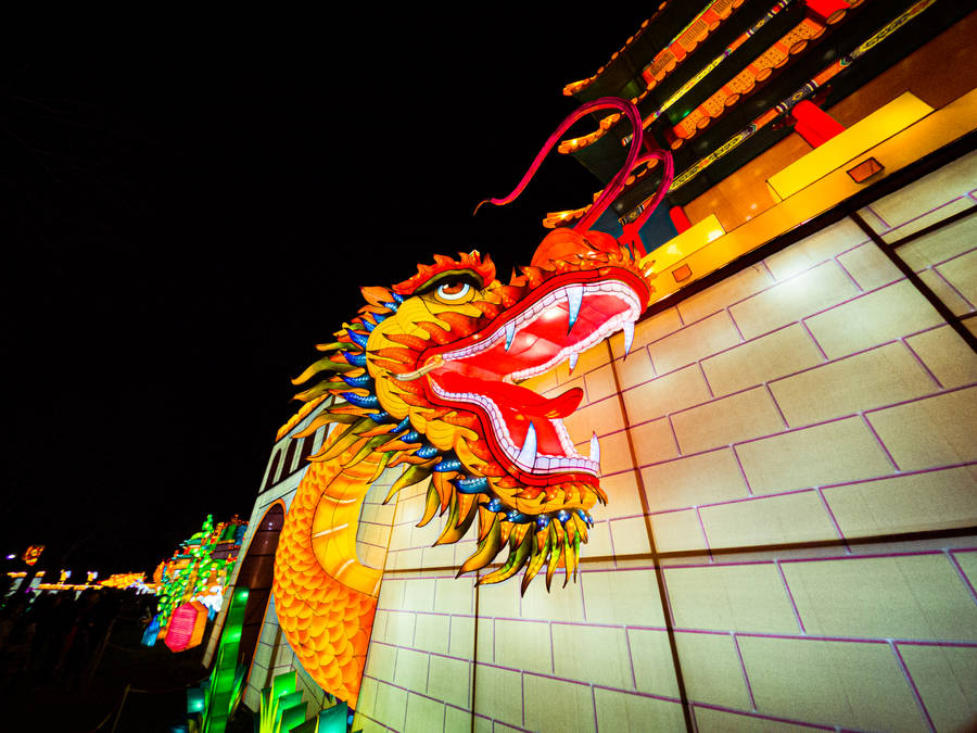 Chinese Dragon Lights Wallpaper