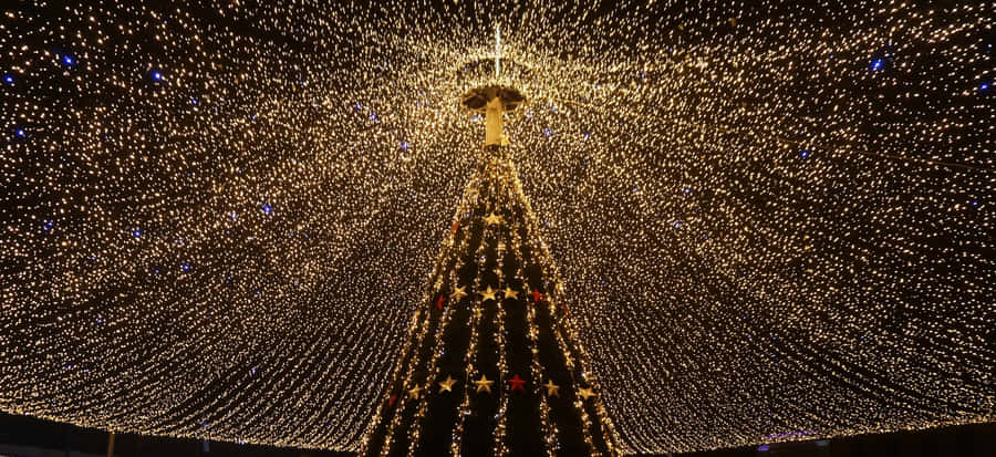 Christmas Lights Canopywith Star Decorations.jpg Wallpaper