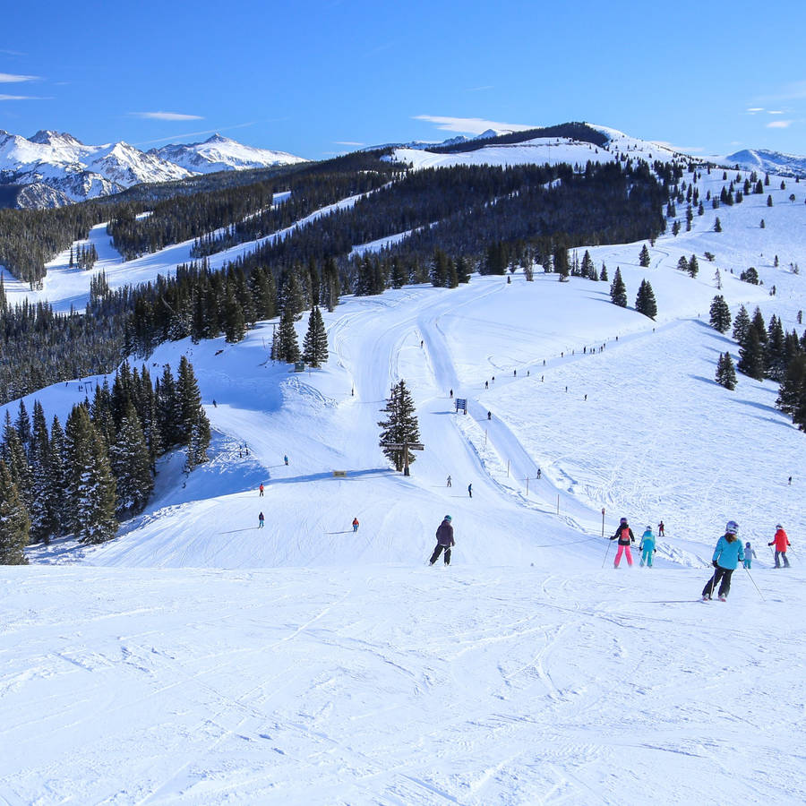 Download free Colorado Vail Ski Trail Wallpaper - MrWallpaper.com