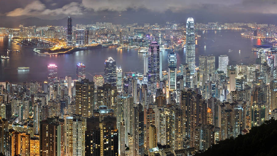 Concrete Jungle Cityscape Wallpaper
