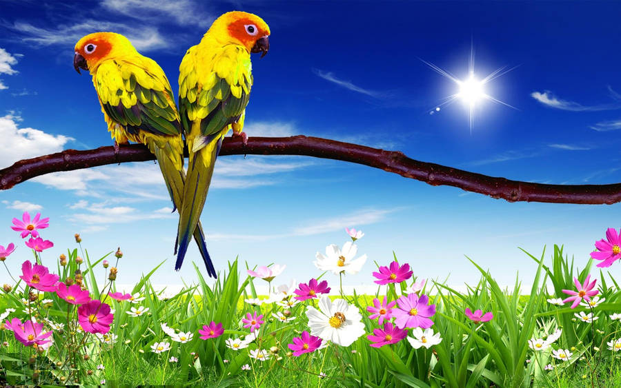 Conure Parrots In Garden Graphic Wallpaper