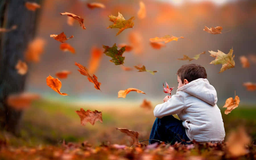 Cool Sad Boy Sitting On Leaves Wallpaper