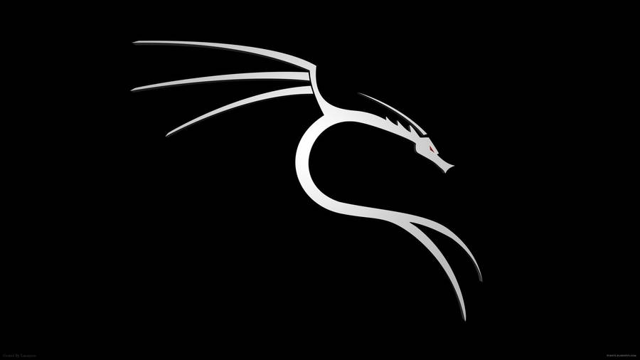 Download free Cool White Dragon In Black Wallpaper - MrWallpaper.com