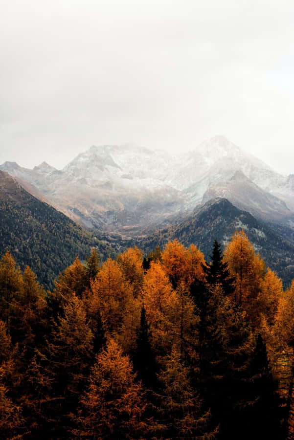 Cozy Mountain View Iphone Wallpaper