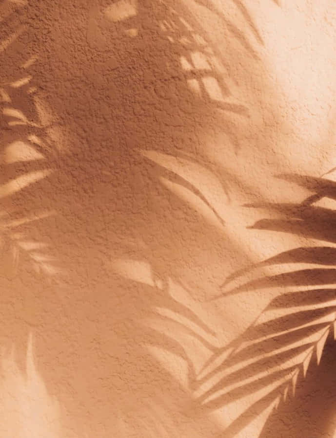 Cozy Neutral Colors Wallpaper