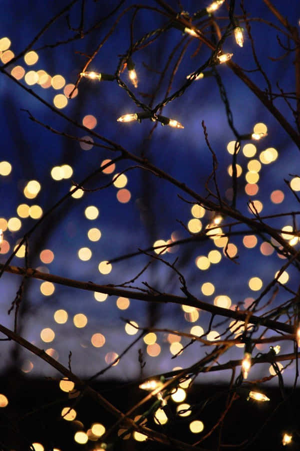 Cozy Winter Light Tumblr Wallpaper