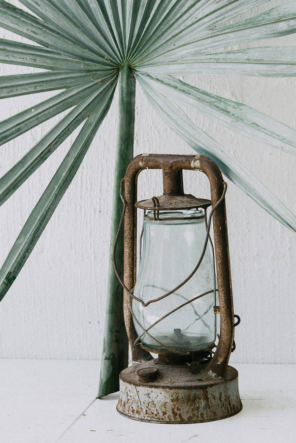 Create A Homely Feel With Vintage Green Aesthetic Wallpaper