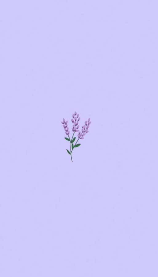 Cute Light Purple Lilac Wallpaper