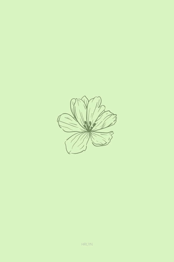 Download free Cute Sage Green Flower Drawn On The Center Wallpaper ...