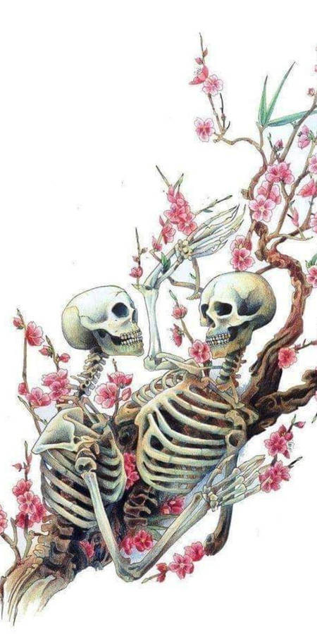 Cute Skeleton Iphone Couple Wallpaper