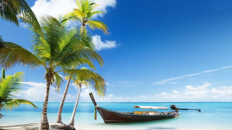 Cute Summer Beach Boat Wallpaper