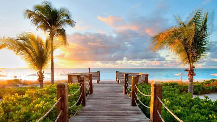 Cute Summer Beach Docks Wallpaper