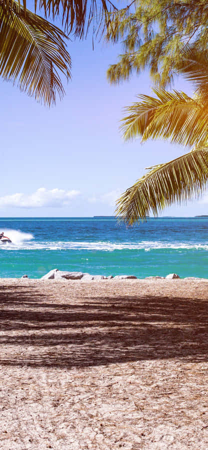 Cute Summer Beach Surrounded By Coconut Trees Wallpaper