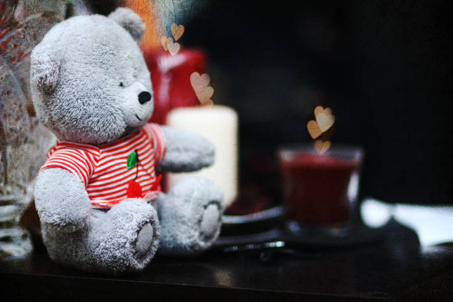 Cute teddy hot sale hd wallpaper