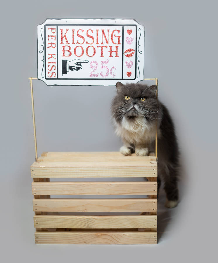 Cute Valentine's Day Kiss Sign Wallpaper