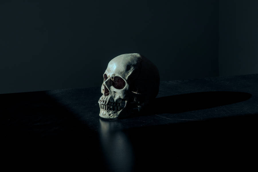 Dark Aesthetic Skull In Darkness wallpaper