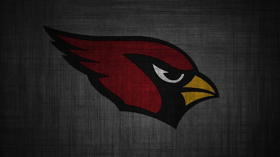 HD Arizona Cardinals Wallpapers - 2024 NFL Football Wallpapers | Cardinals  wallpaper, Arizona cardinals wallpaper, Background images hd