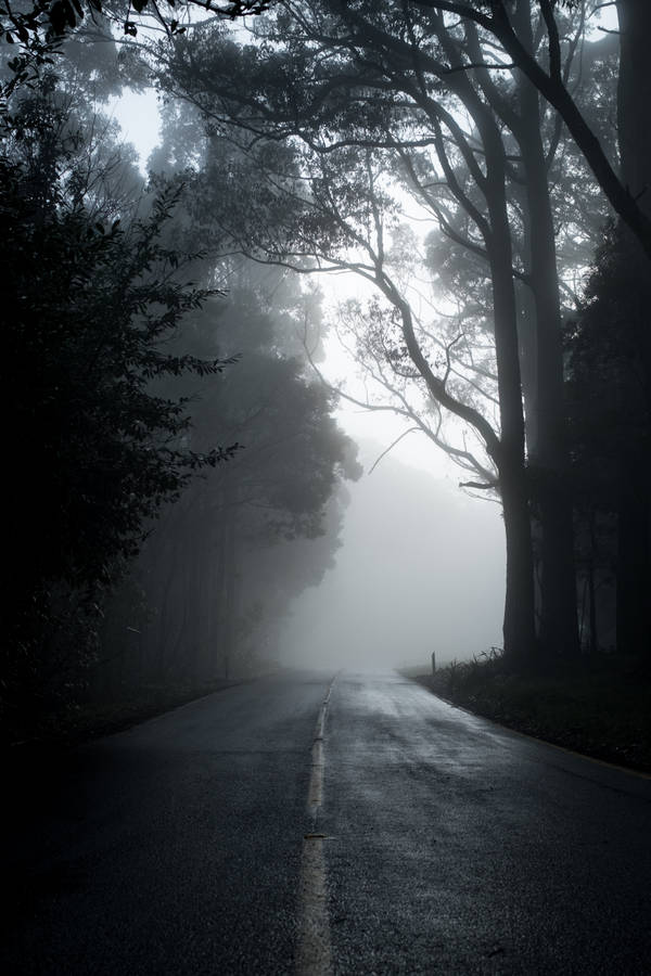 Dark and foggy road wallpaper