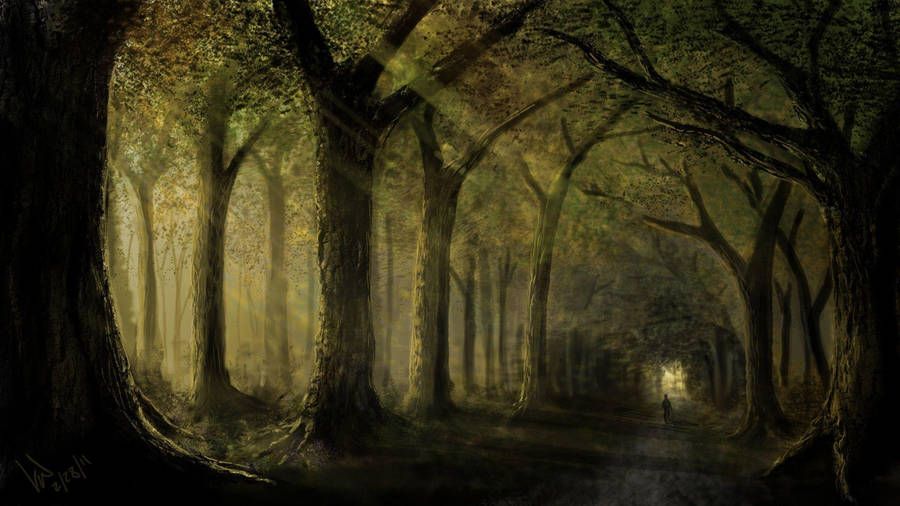 Dark Forest Paint Art Wallpaper