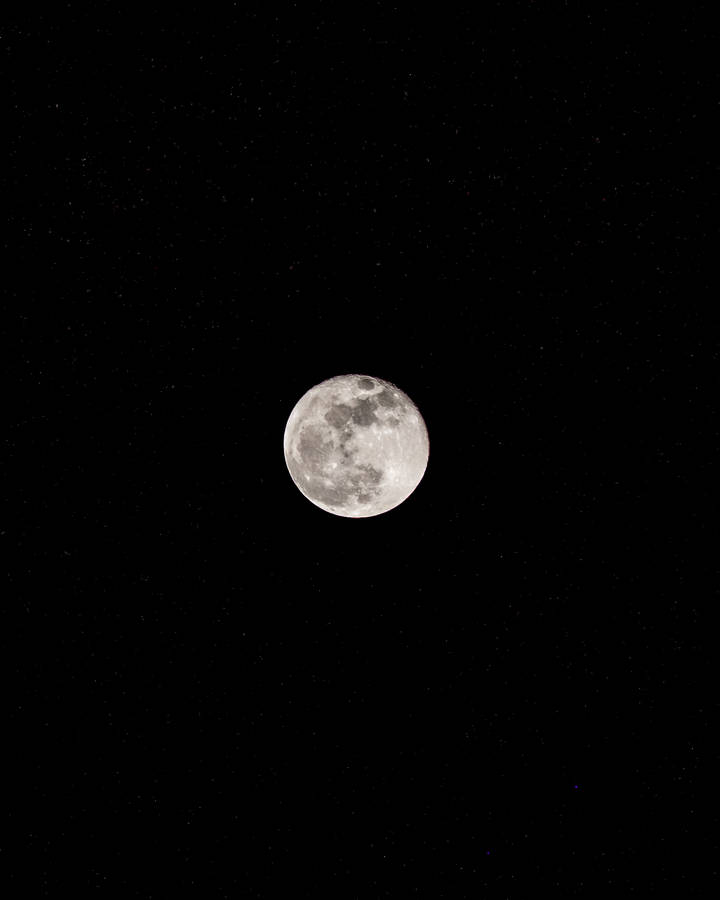Dark Halloween Full Moon Wallpaper