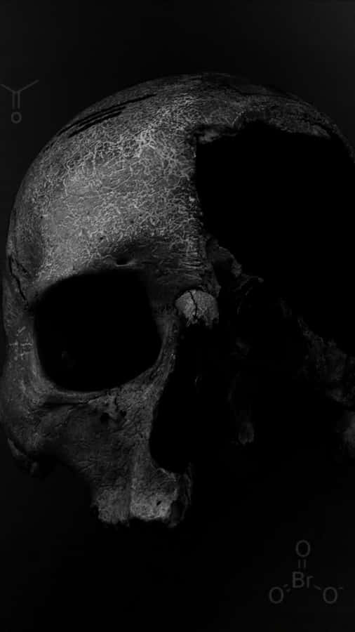 Death Iphone 750 X 1334 Wallpaper