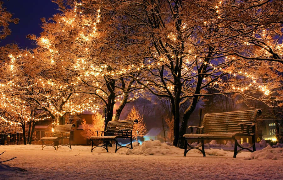 Decorated Trees Teams Background Wallpaper