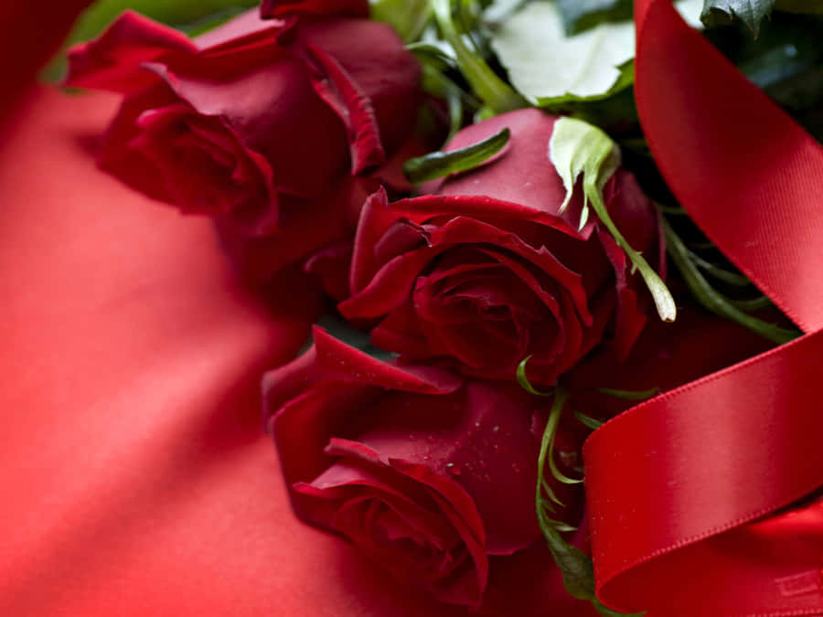 Delicate Beautiful Roses In Sunny Garden Wallpaper