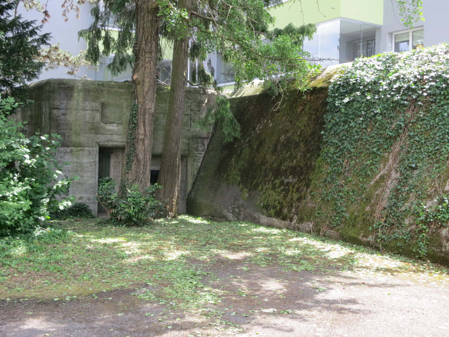 Download free Dietikon Bunker Hiddenin Greenery Wallpaper - MrWallpaper.com