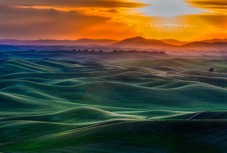 Discover The Unique Beauty Of Google Landscape Wallpaper