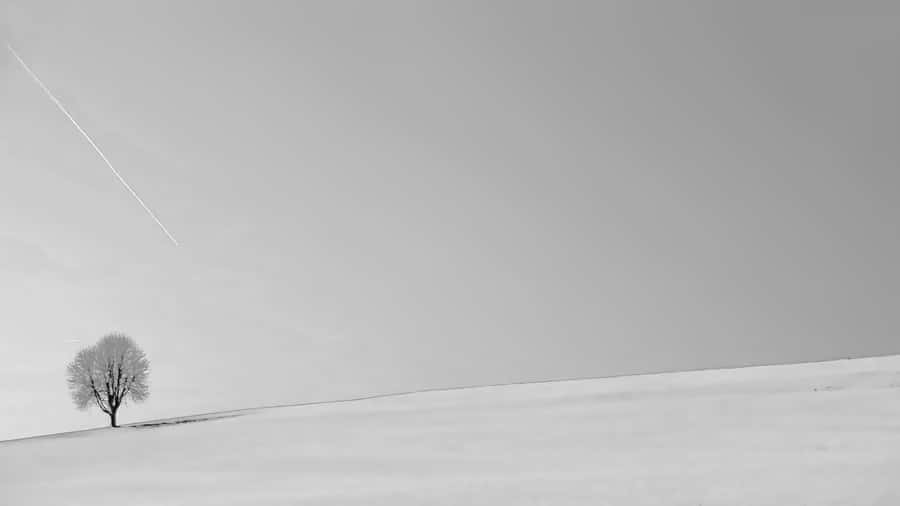 Do More With Less: Minimalist Winter Wallpaper
