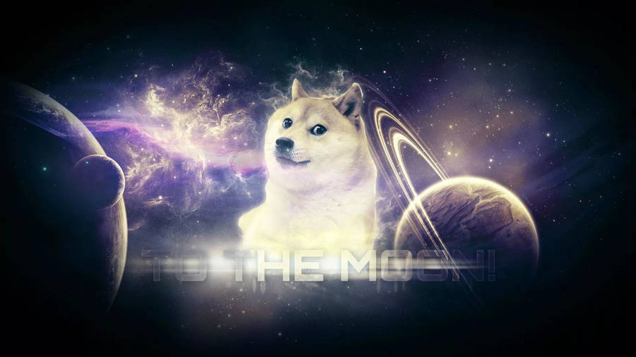 Doge To The Moon! Wallpaper