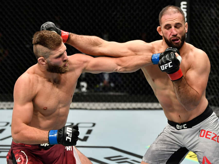 Dominick Reyes Preparing For Intensity In The Ring Wallpaper