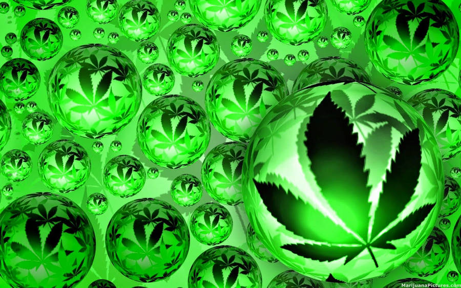 Download Cannabis Wallpapers for FREE [100,000+ Mobile & Desktop] -  WallpaperGod.com