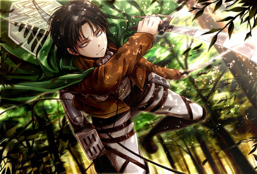 200+] Levi Ackerman Backgrounds | Wallpapers.com