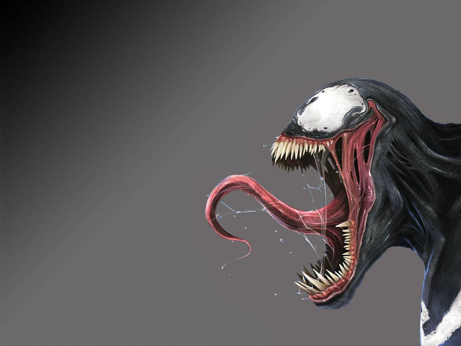 Venom Wallpaper | Logo wallpaper hd, Spiderman, Free web design