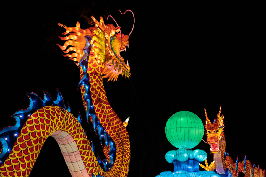 Dragon Chinese New Year Wallpaper